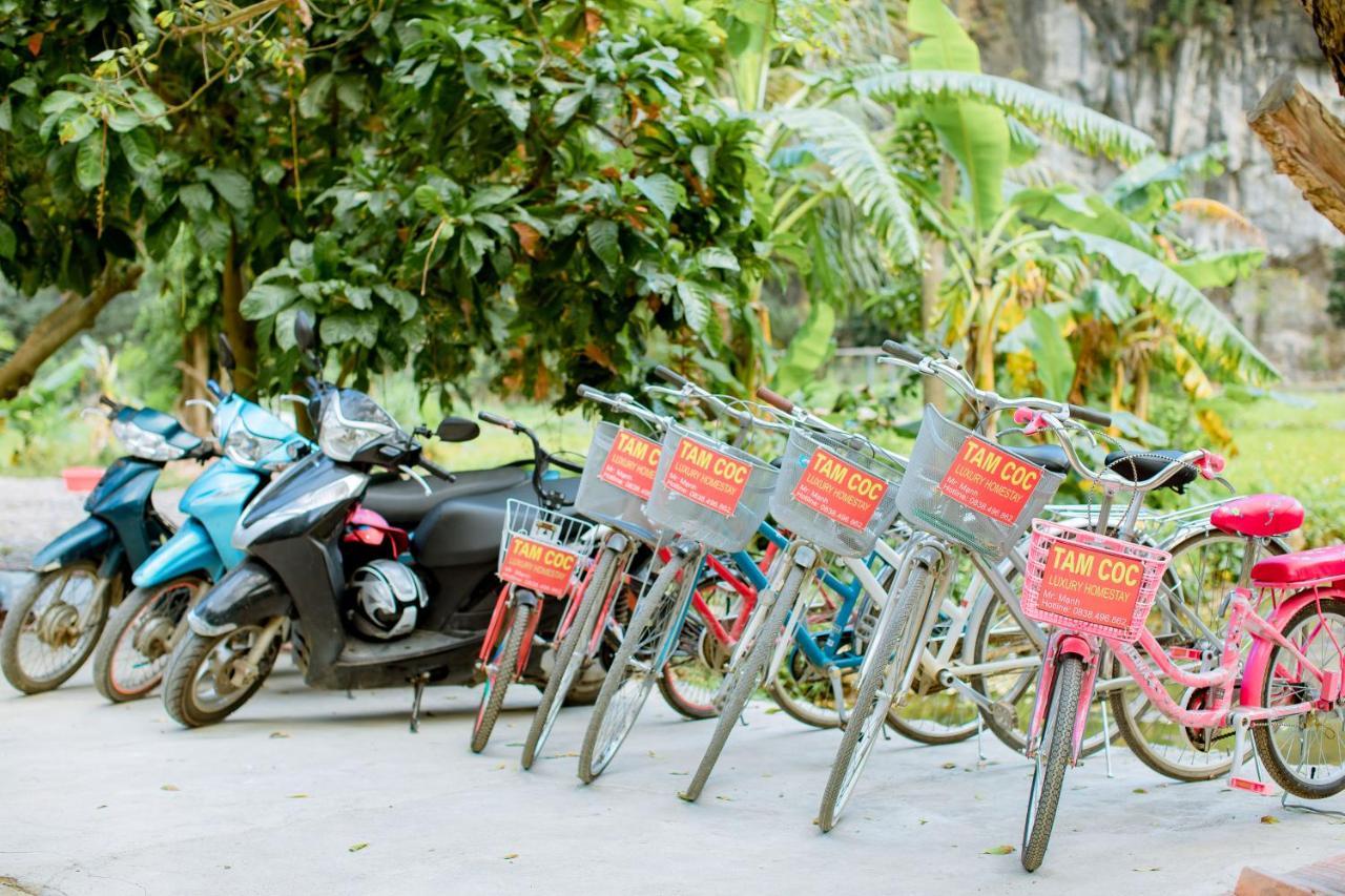 Tam Coc Luxury Homestay Ninh Binh Exterior foto